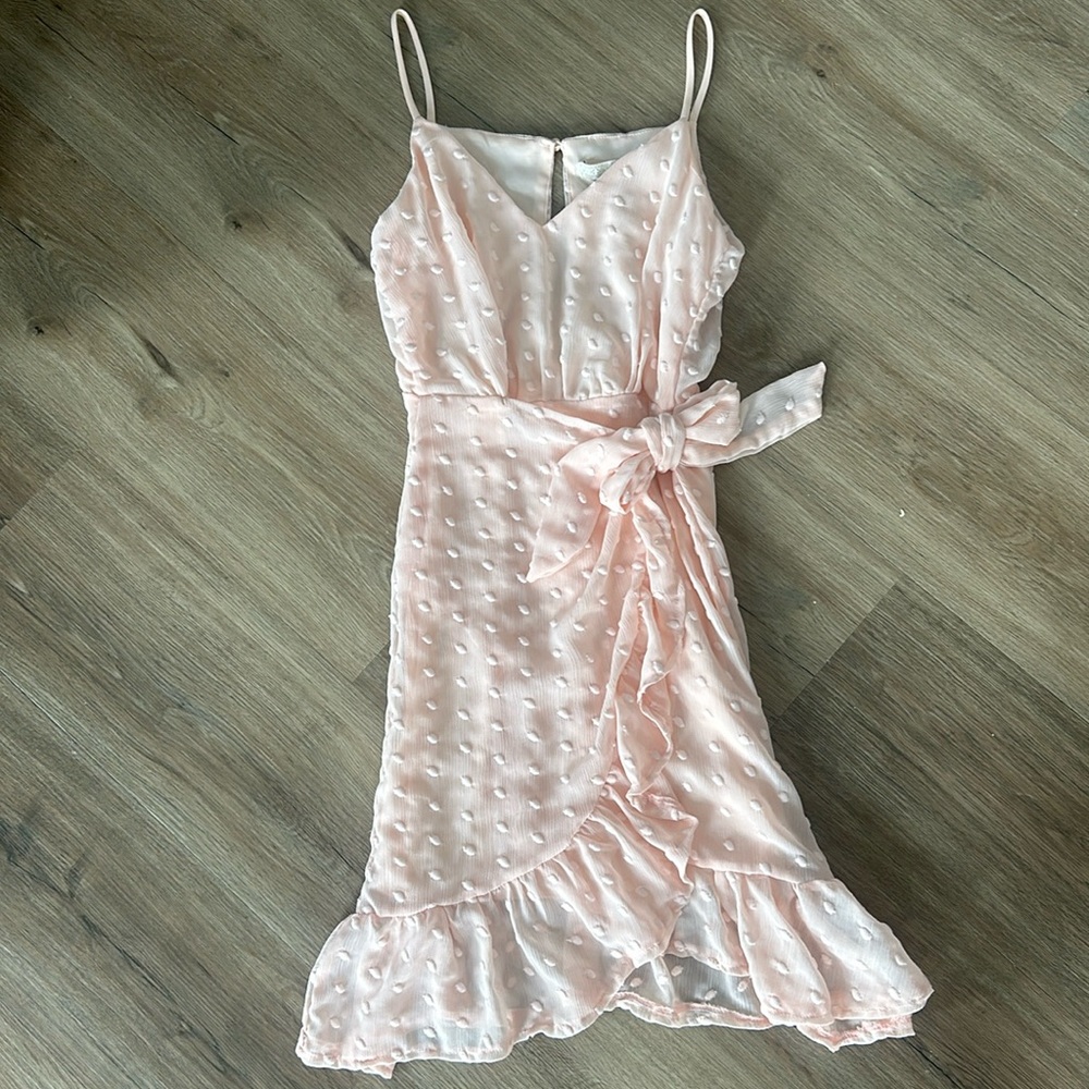 Pink Gianni Bini Dress Dotted Swiss